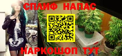 spice Братск